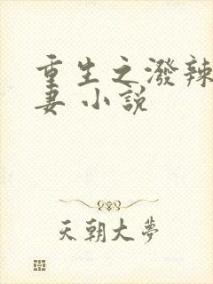 重生之泼辣小福妻 小说