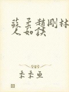 苏柔赵刚林风男人如铁