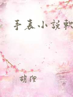 手表小说软件