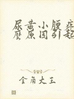 尿黄小腹疼是什么原因引起的