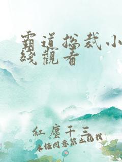 霸道总裁小说在线观看 霸道总裁小说在线观看