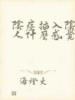 阴痉插入阴道女人什么感觉