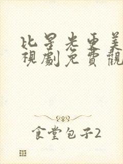 比星光更美丽电视剧免费观看全集
