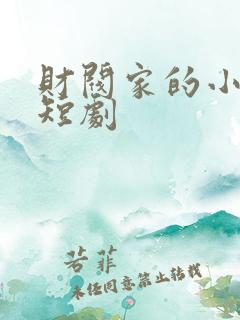财阀家的小儿子短剧