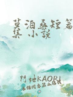 莫泊桑短篇小说集 小说
