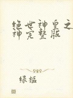 绝世神皇之第一神完整版