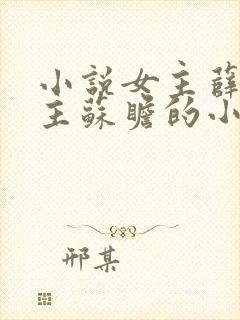 小说女主薛柠男主苏瞻的小说