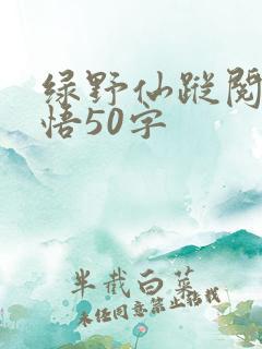 绿野仙踪阅读感悟50字