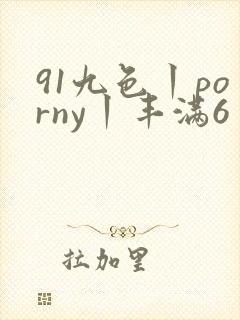 91九色丨porny丨丰满6