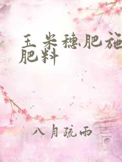 玉米穗肥施什么肥料