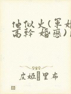 他似火(军婚 高干 婚恋)臣言