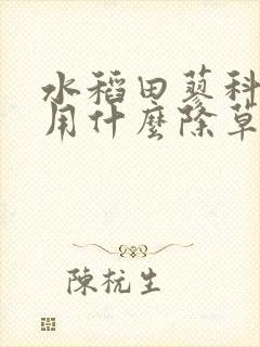 水稻田蓼科杂草用什么除草剂