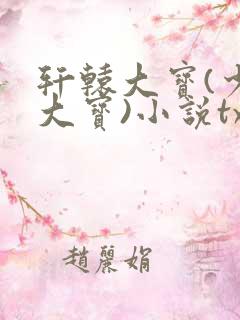 轩辕大宝(少年大宝)小说txt