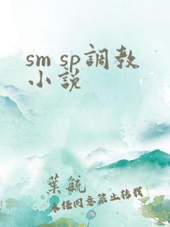 sm sp调教小说