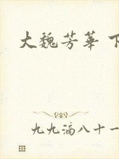 大魏芳华 下载