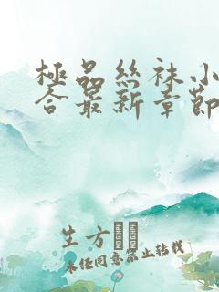 极品丝袜小说集合最新章节