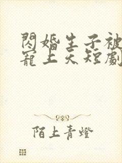 闪婚生子被老公宠上天短剧免费观看