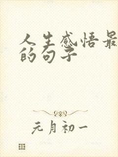 人生感悟最精辟的句子