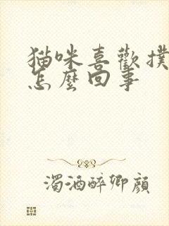 猫咪喜欢扑人是怎么回事