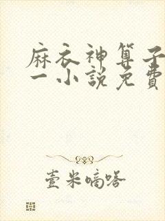 麻衣神算子李初一小说免费下载
