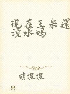 现在玉米还需要浇水吗