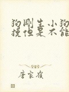 狗刚生小狗可以摸但是不能抱