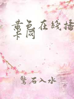 黄色在线播放不卡网