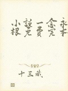 小说一念永恒耳根免费完本