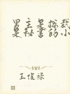 男主是总裁女主是秘书的小说