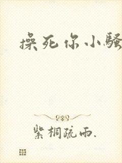 操死你小骚货h
