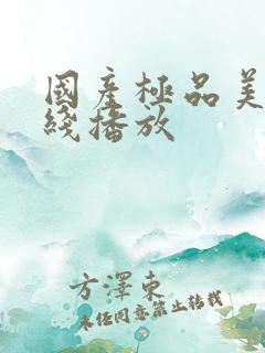 国产极品美女在线播放