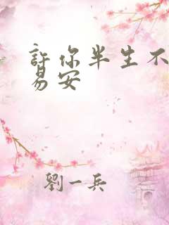 许你半生不见沈易安