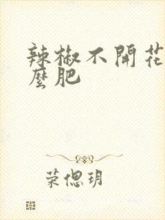 辣椒不开花与什么肥