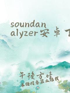 soundanalyzer安卓下载