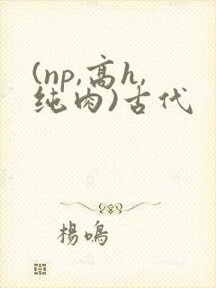 (np,高h,纯肉)古代