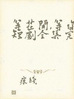 等花开,等你归短剧全集完整版
