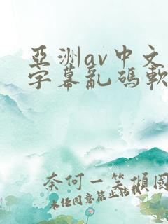 亚洲av中文字字幕乱码软件