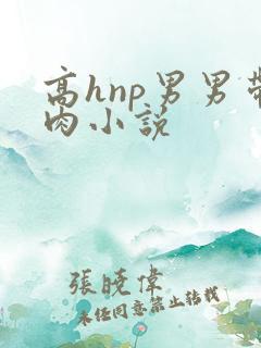 高hnp男男带肉小说