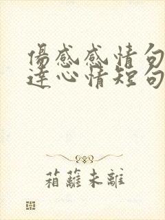 伤感感情句子表达心情短句