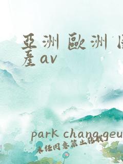 亚洲 欧洲 国产av
