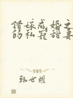 错嫁成婚之总裁的私宠甜妻 小说