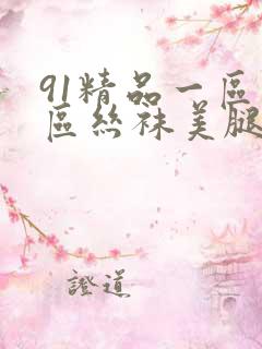 91精品一区二区丝袜美腿