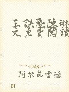 王铁飞陈琳琳全文免费阅读