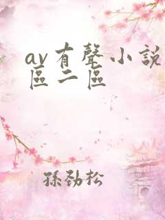 av有声小说一区二区