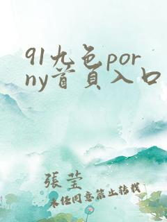 91九色porny首页入口