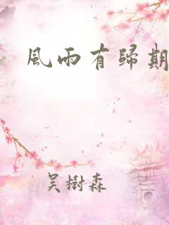 风雨有归期