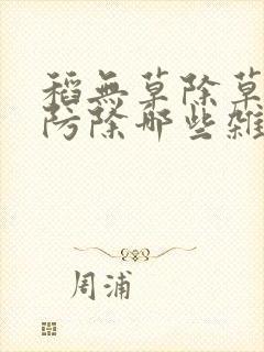 稻无草除草剂能防除哪些杂草