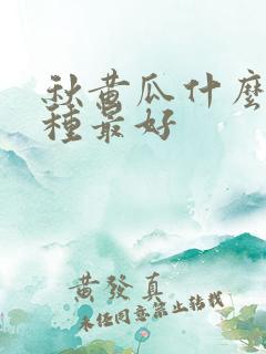 秋黄瓜什么时间种最好