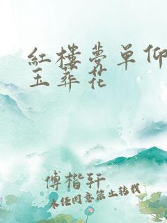红楼梦单仰萍黛玉葬花