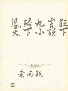 凤归九霄狂妃逆天下小说下载